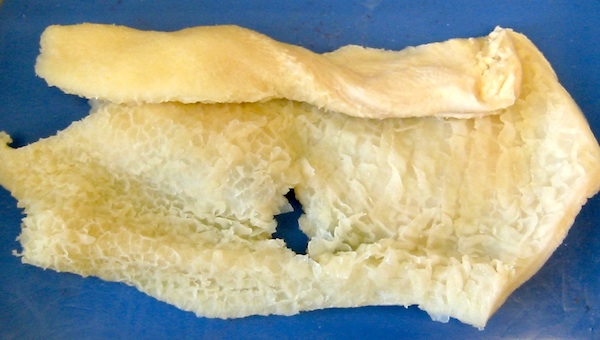 A sample of beef tripe purchased from a grocery store shows the muscular wall and the gastric rugae of a mammalian stomach